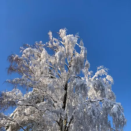 Διαμέρισμα Wunderschoene 