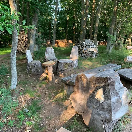 Wunderschoene 