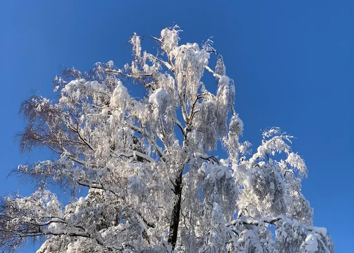 公寓 Wunderschoene 