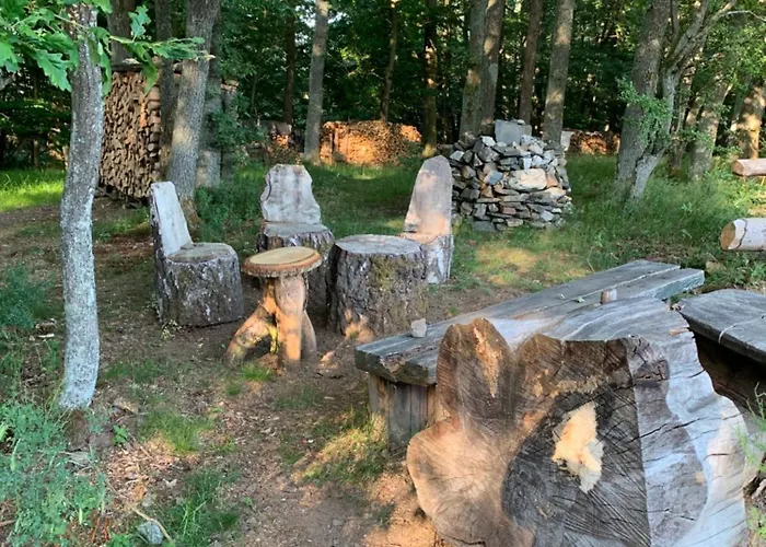 Wunderschoene 